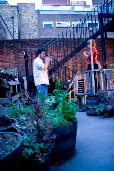 Mit Sous Chef Jon im Gemüsegarten, Acorn House, London