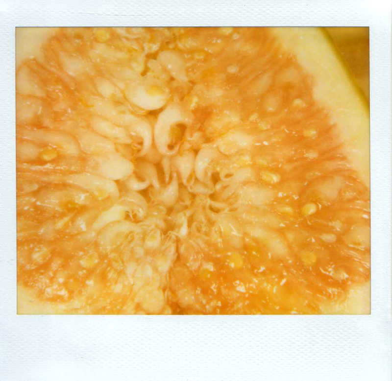 advent12_2-1_Scan20564_iamina