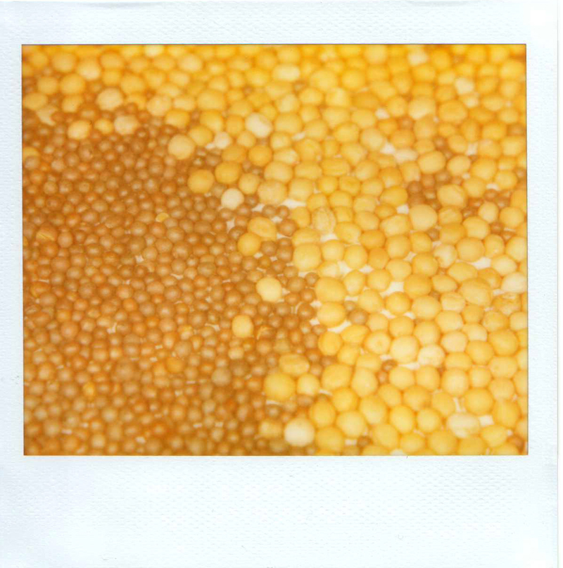 advent12_2-3_Scan20562c_iamina