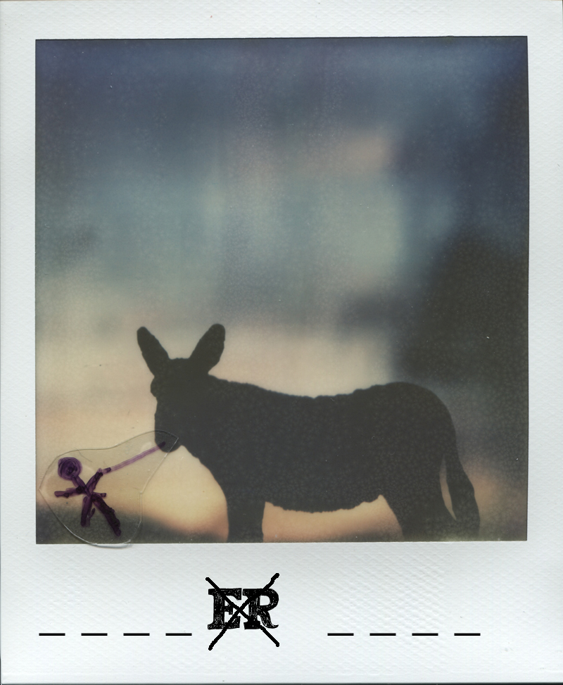advent12_3-1_pola030b_iamina